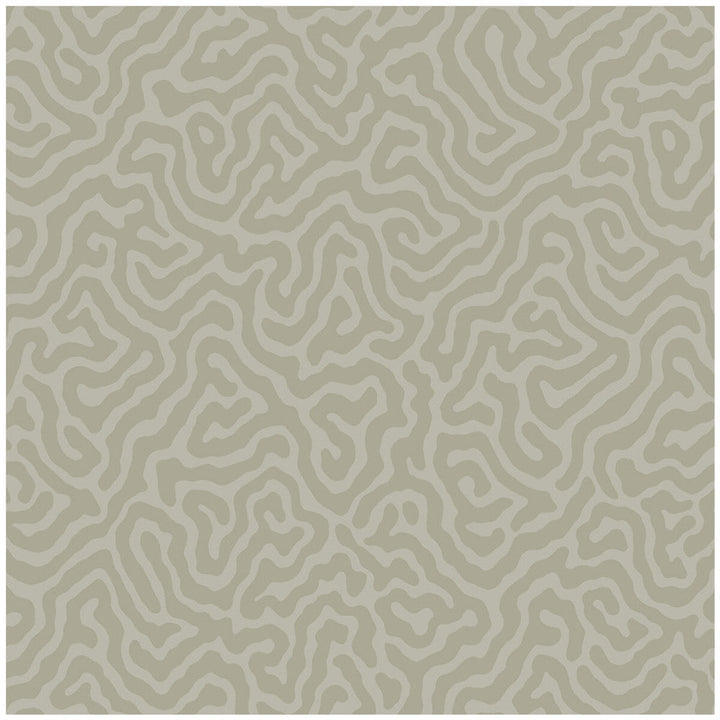 Coral Stone by Cole & Son Wallcovering Cole & Son Wallcovering Coral StoneWallcovering COLE & SON LANDSCAPE PLAINS PAPER - 100% United Kingdom </p><p>Repeat: H: , V: 4.2 20.5 - Fabric Carolina -