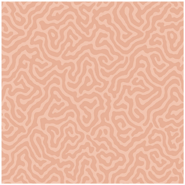 Coral Salmon by Cole & Son Wallcovering Cole & Son Wallcovering Coral SalmonWallcovering COLE & SON LANDSCAPE PLAINS PAPER - 100% United Kingdom </p><p>Repeat: H: , V: 4.2 20.5 - Fabric Carolina -