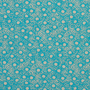 Charlotte Fabric 10700-01