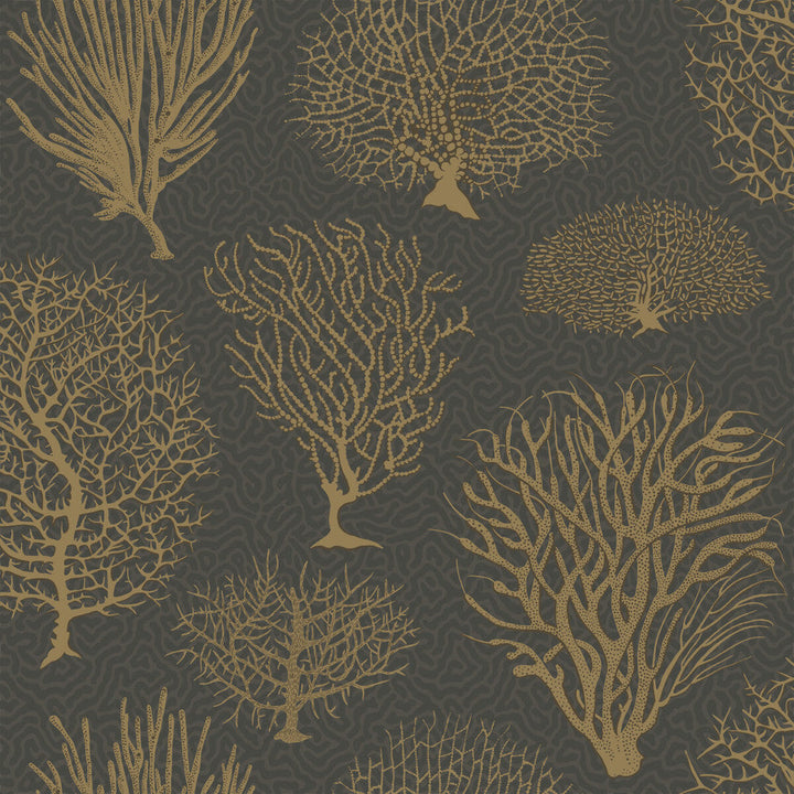 Seafern Black & Gold by Cole & Son Designer Wallcovering COLE & SON CURIO PAPER - 100% United Kingdom Horizontal: and Vertical: 20.5 20.5 - Swanky Fabrics -