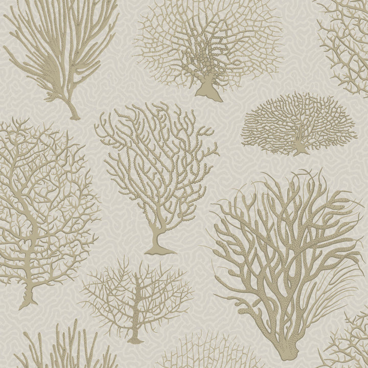 Seafern Stone by Cole & Son Designer Wallcovering COLE & SON CURIO PAPER - 100% United Kingdom - Horizontal: - and Vertical: 20.5 20.5 - Swanky Fabrics -