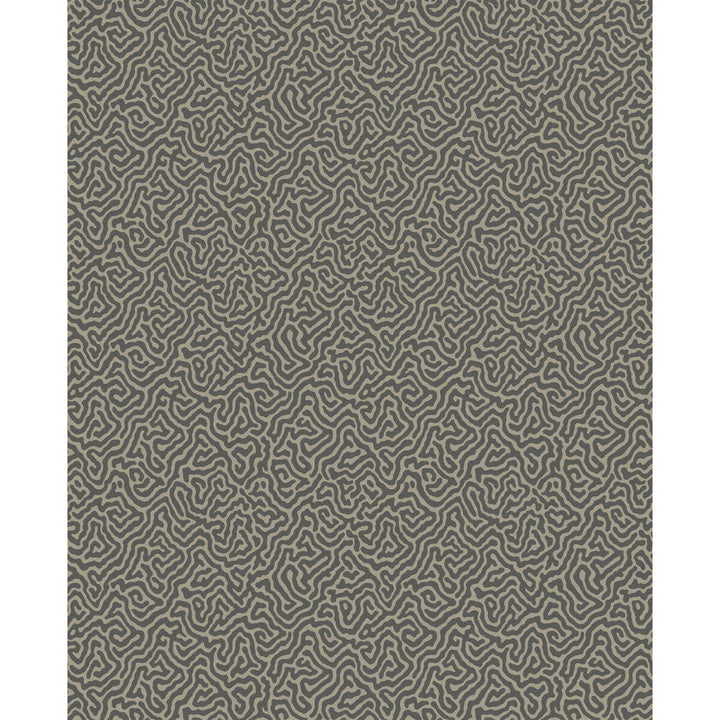 Vermicelli Black & Linen by Cole & Son Wallcovering Cole & Son Wallcovering Vermicelli Black & LinenWallcovering COLE & SON CURIO PAPER - 100% United Kingdom </p><p>Repeat: H: , V: 8.3 20.5 - Fabric Carolina -