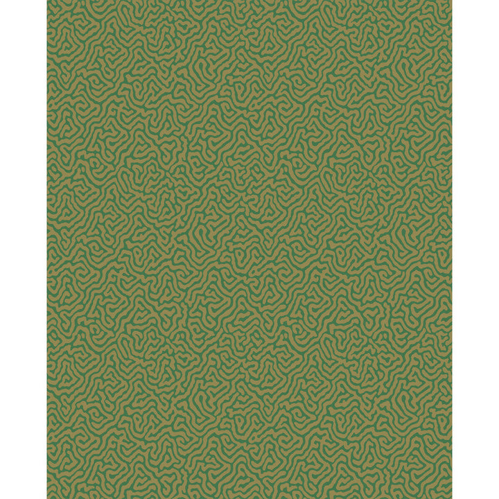 Vermicelli Green & Gold by Cole & Son Designer Wallcovering COLE & SON CURIO PAPER - 100% United Kingdom - Horizontal: - and Vertical: 8.3 20.5 - Swanky Fabrics -