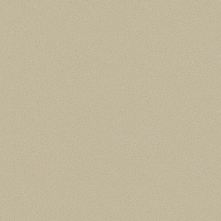Goldstone Stone & Gilver by Cole & Son Designer Wallcovering COLE & SON CURIO PAPER - 100% United Kingdom Horizontal: and Vertical: 5.1 20.5 - Swanky Fabrics -