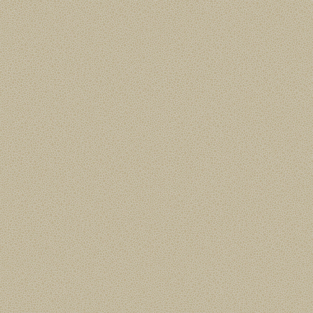 Goldstone Stone & Gilver by Cole & Son Wallcovering Cole & Son Wallcovering Goldstone Stone & GilverWallcovering COLE & SON CURIO PAPER - 100% United Kingdom </p><p>Repeat: H: , V: 5.1 20.5 - Fabric Carolina -