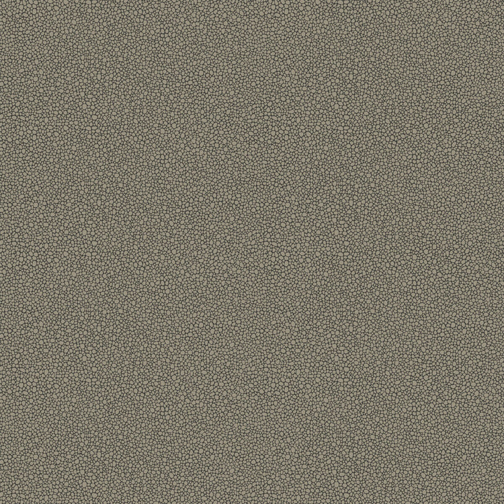 Goldstone Black & Silver by Cole & Son Designer Wallcovering COLE & SON CURIO PAPER - 100% United Kingdom Horizontal: and Vertical: 5.1 20.5 - Swanky Fabrics -