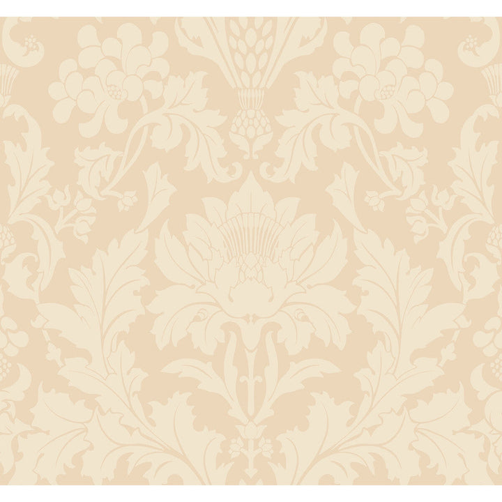 Fonteyn Buff by Cole & Son Designer Wallcovering COLE & SON MARIINSKY DAMASK PAPER - 100% United Kingdom Horizontal: and Vertical: 25.25 27 - Swanky Fabrics -