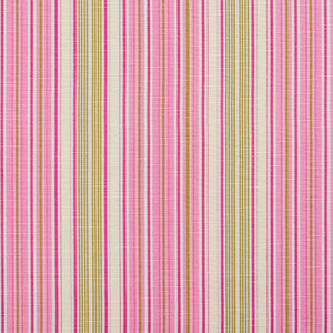 Charlotte Fabric 10900-01
