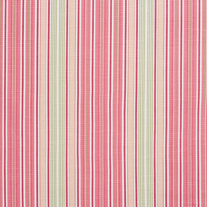 10900-03 by Charlotte Designer Fabric Botanical Prints 60% Cotton, 40% Polyester Spain Exceeds 80,000 Wyzenbeek Rubs (Heavy Duty) Horizontal: 9.5" 54 Inches - Swanky Fabrics -