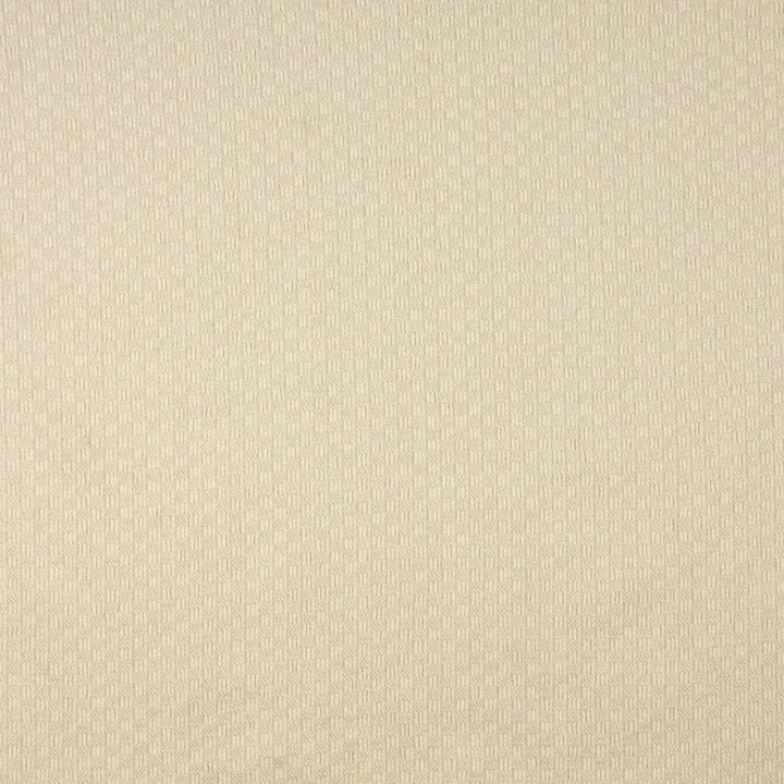 1091 Champagne by Charlotte Designer Fabric Naturally Naturals II 88% Olefin, 12% Polyester Made In USA Exceeds 60,000 Wyzenbeek Rubs (Heavy Duty) Horizontal: 1" x Vertical: 1" 54 Inches - Swanky Fabrics -