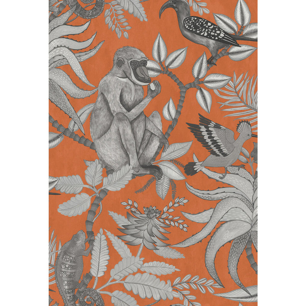 Savuti Orange by Cole & Son Designer Wallcovering COLE & SON ARDMORE PAPER - 100% United Kingdom - Horizontal: 20.5 and Vertical: 30 20.5 - Swanky Fabrics -