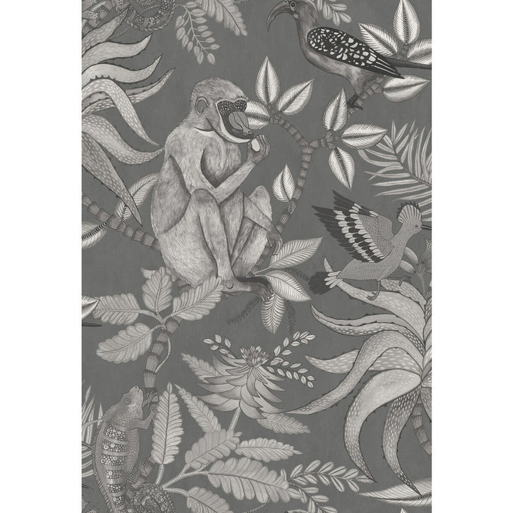 Savuti Charcoal by Cole & Son Wallcovering Cole & Son Wallcovering Savuti CharcoalWallcovering COLE & SON ARDMORE PAPER - 100% United Kingdom </p><p>Repeat: H: 20.5, V: 30 20.5 - Fabric Carolina -