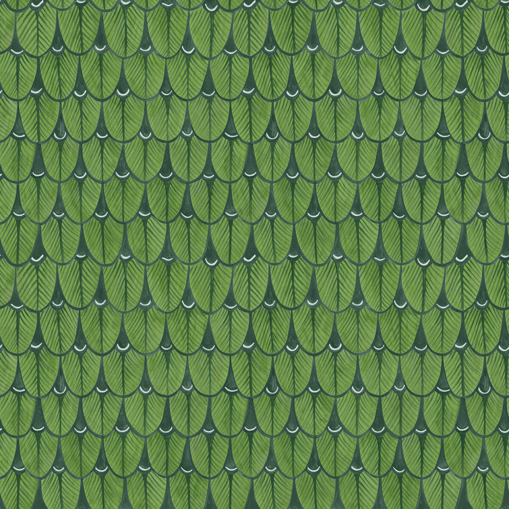 Narina Leaf Green by Cole & Son Designer Wallcovering COLE & SON ARDMORE PAPER - 100% United Kingdom Horizontal: and Vertical: 20.5 20.5 - Swanky Fabrics -