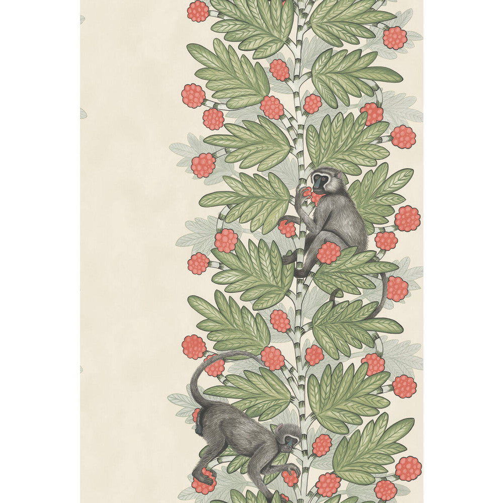 Acacia Green & Coral Berries by Cole & Son Wallcovering Cole & Son Wallcovering Acacia Green & Coral BerriesWallcovering COLE & SON ARDMORE PAPER - 100% United Kingdom </p><p>Repeat: H: , V: 30 20.5 - Fabric Carolina -