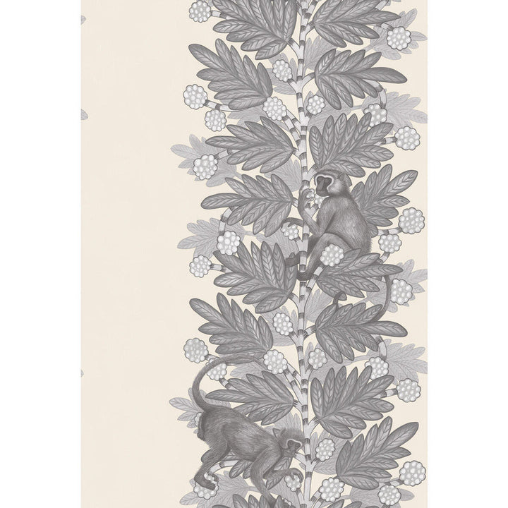 Acacia Grey & White by Cole & Son Wallcovering Cole & Son Wallcovering Acacia Grey & WhiteWallcovering COLE & SON ARDMORE PAPER - 100% United Kingdom </p><p>Repeat: H: , V: 30 20.5 - Fabric Carolina -