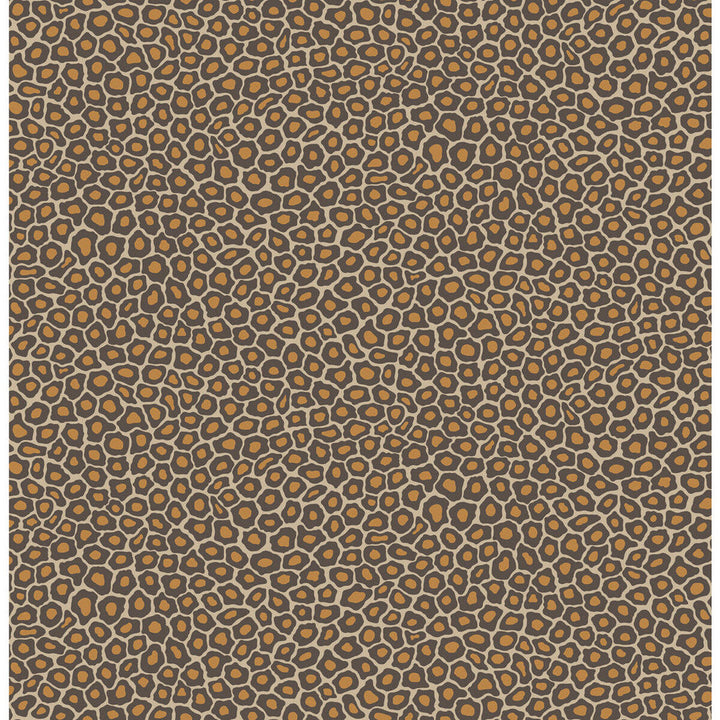 Senzo Spot Brown & Gold by Cole & Son Wallcovering Cole & Son Wallcovering Senzo Spot Brown & GoldWallcovering COLE & SON ARDMORE PAPER - 100% United Kingdom </p><p>Repeat: H: , V: 10.4 20.5 - Fabric Carolina -