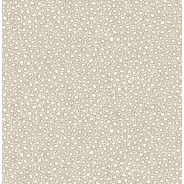 Senzo Spot Stone & White by Cole & Son Designer Wallcovering COLE & SON ARDMORE PAPER - 100% United Kingdom Horizontal: and Vertical: 10.4 20.5 - Swanky Fabrics -