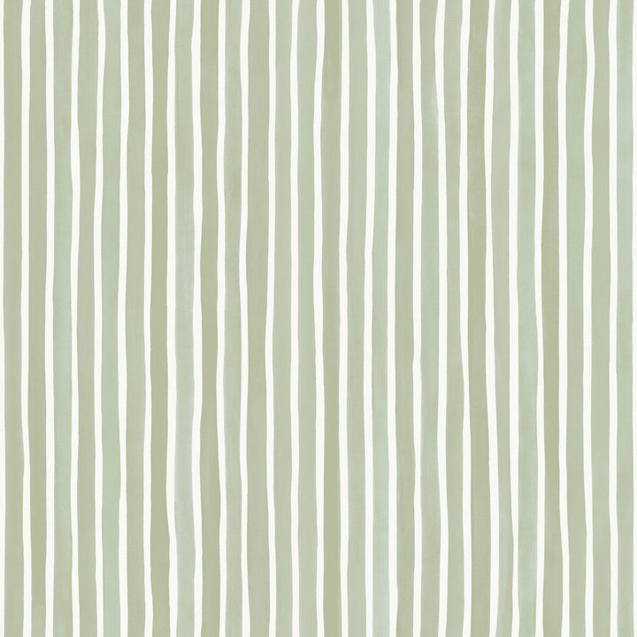 Croquet Stripe Olive by Cole & Son Designer Wallcovering COLE & SON MARQUEE STRIPES PAPER - 100% United Kingdom - Horizontal: 20.5 and Vertical: 0 20.5 - Swanky Fabrics -