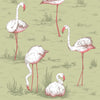 Cole & Son Wallpaper Flamingos Olive