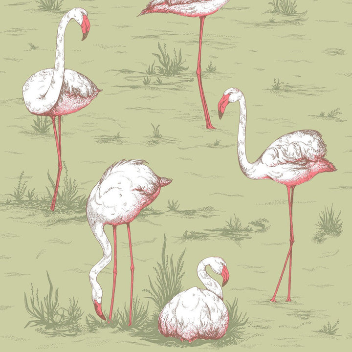 Flamingos Olive by Cole & Son Wallcovering Cole & Son Wallcovering Flamingos OliveWallcovering COLE & SON ICONS PAPER - 100% United Kingdom </p><p>Repeat: H: , V: 27.5 21 - Fabric Carolina -
