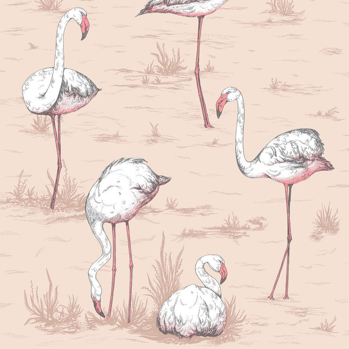 Flamingos Plaster Pink by Cole & Son Designer Wallcovering COLE & SON ICONS PAPER - 100% United Kingdom Horizontal: and Vertical: 27.5 21 - Swanky Fabrics -