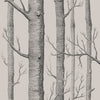 Cole & Son Wallpaper Woods Linen/Charcoal