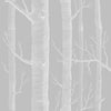 Cole & Son Wallpaper Woods Grey/White