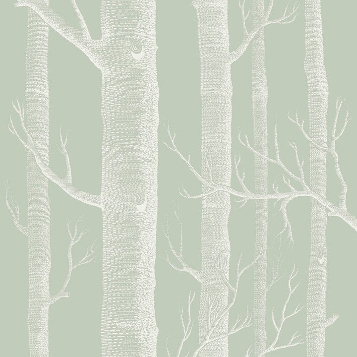Woods Old Olive by Cole & Son Wallcovering Cole & Son Wallcovering Woods Old OliveWallcovering COLE & SON ICONS PAPER - 100% United Kingdom </p><p>Repeat: H: , V: 28.3 20.5 - Fabric Carolina -