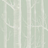 Cole & Son Wallpaper Woods Old Olive