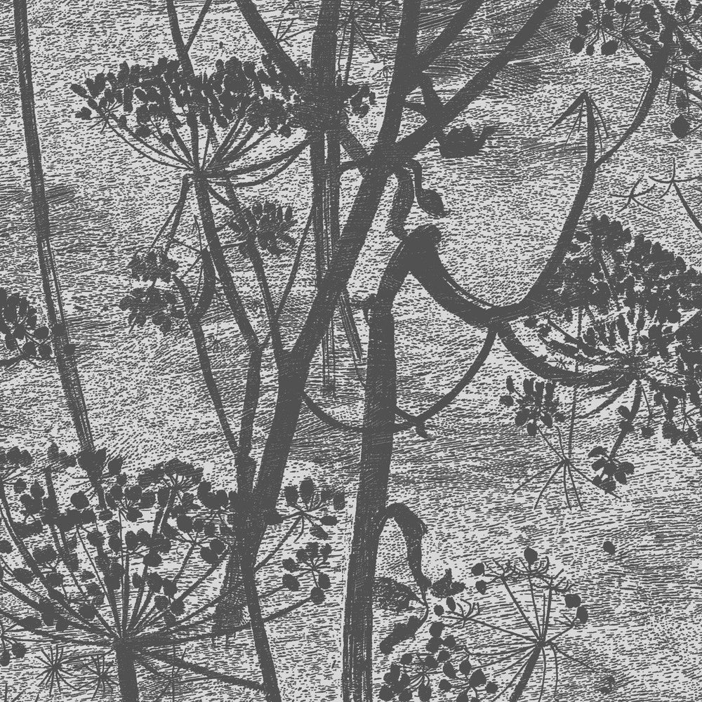 Cow Parsley Charcoal by Cole & Son Designer Wallcovering COLE & SON ICONS PAPER - 100% United Kingdom Horizontal: and Vertical: 30 21 - Swanky Fabrics -