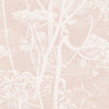 Cole & Son Wallpaper Cow Parsley Plaster Pink