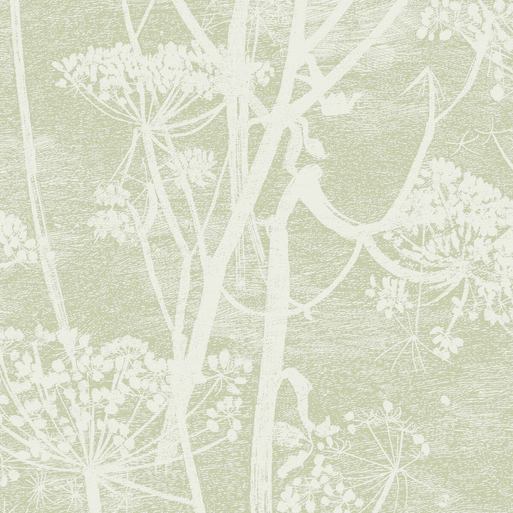 Cow Parsley Olive by Cole & Son Designer Wallcovering COLE & SON ICONS PAPER - 100% United Kingdom - Horizontal: - and Vertical: 30 21 - Swanky Fabrics -