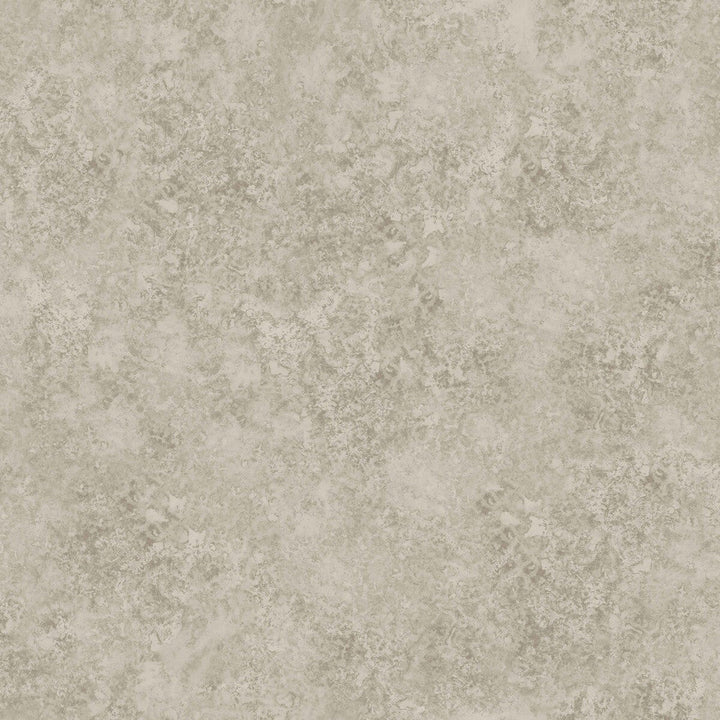 Patina Haze Warm Gilver by Cole & Son Wallcovering Cole & Son Wallcovering Patina Haze Warm GilverWallcovering COLE & SON MARTYN LAWRENCE BULLARD PAPER - 100% United Kingdom </p><p>Repeat: H: , V: 20.5 20.5 - Fabric Carolina -