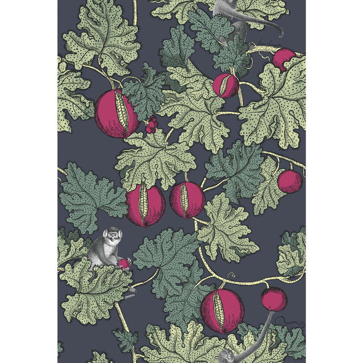 Frutto Proibito Ink & Magenta by Cole & Son Wallcovering Cole & Son Wallcovering Frutto Proibito Ink & MagentaWallcovering COLE & SON FORNASETTI PAPER - 100% United Kingdom </p><p>Repeat: H: , V: 30 20.5 - Fabric Carolina -