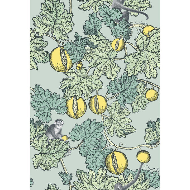 Frutto Proibito Seafoam & Lemon by Cole & Son Designer Wallcovering COLE & SON FORNASETTI PAPER - 100% United Kingdom - Horizontal: - and Vertical: 30 20.5 - Swanky Fabrics -
