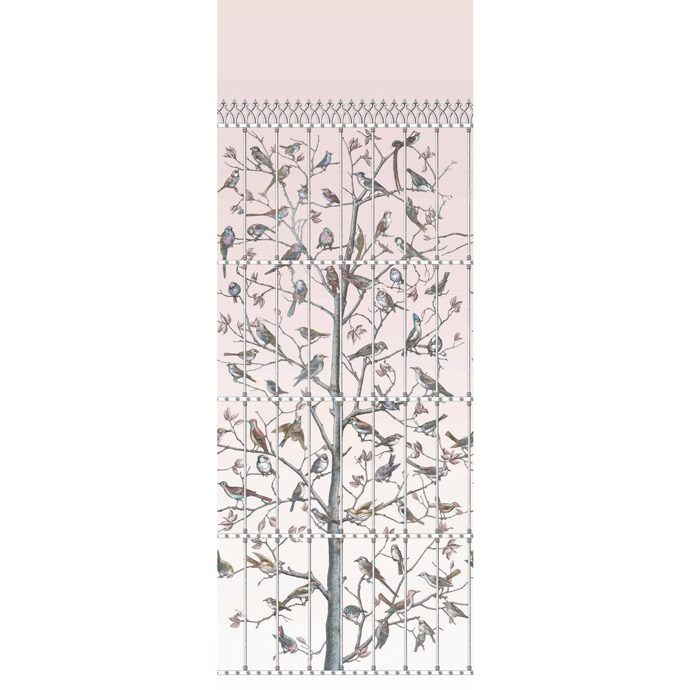 Uccelli Ballet Slipper by Cole & Son Designer Wallcovering COLE & SON FORNASETTI PAPER - 100% United Kingdom Horizontal: 41 and Vertical: 110.2 41 - Swanky Fabrics -