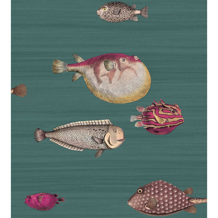 Acquario Viridian by Cole & Son Designer Wallcovering COLE & SON FORNASETTI PAPER - 100% United Kingdom Horizontal: and Vertical: 30 27 - Swanky Fabrics -