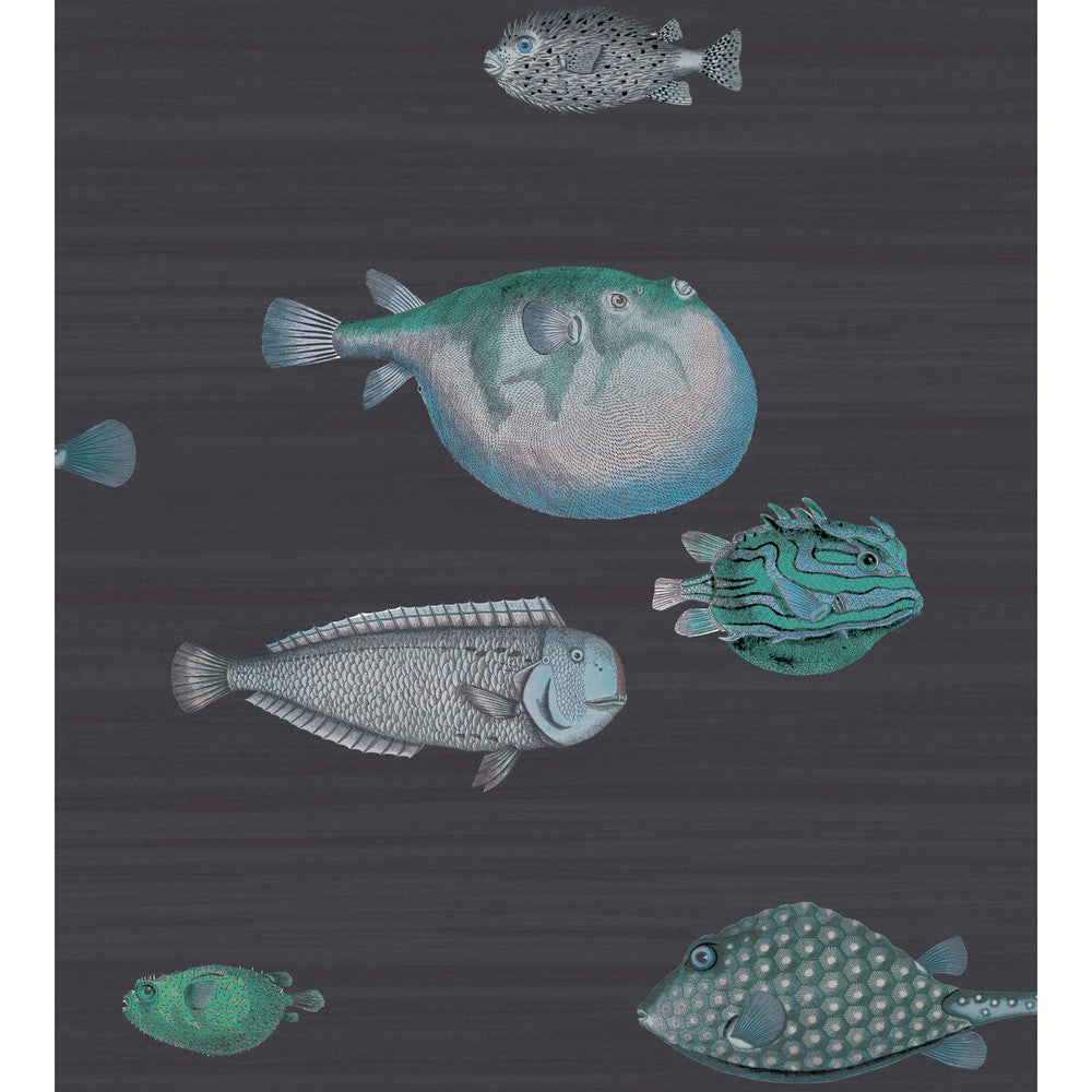 Acquario Ink by Cole & Son Designer Wallcovering COLE & SON FORNASETTI SENZA TEMPO PAPER - 100% United Kingdom - Horizontal: 27 and Vertical: 30 27 - Swanky Fabrics -