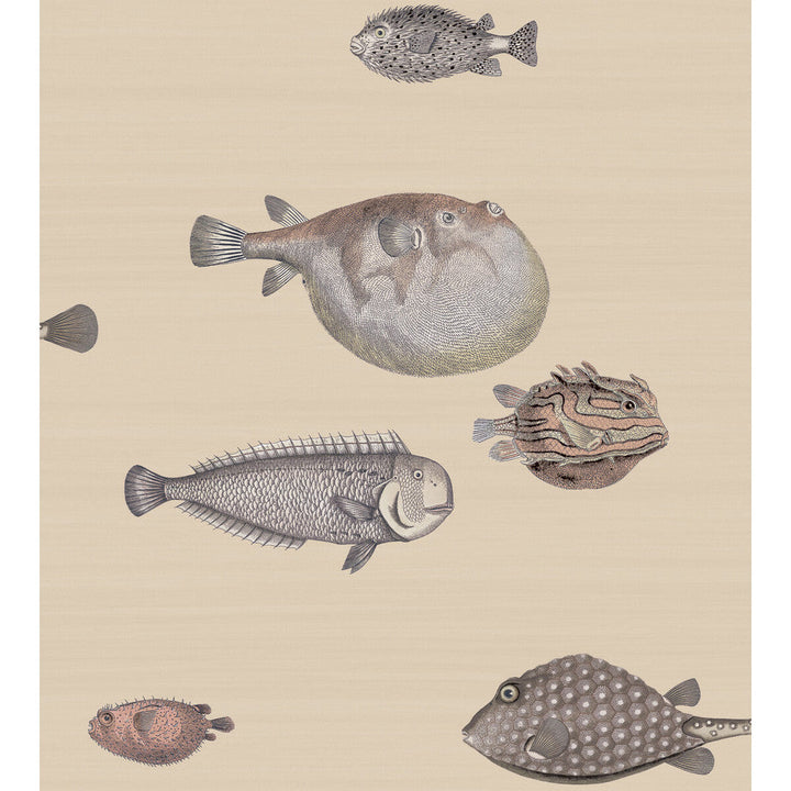 Acquario Taupe by Cole & Son Wallcovering Cole & Son Wallcovering Acquario TaupeWallcovering COLE & SON FORNASETTI SENZA TEMPO PAPER - 100% United Kingdom </p><p>Repeat: H: 27, V: 30 27 - Fabric Carolina -