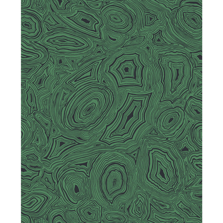 Malachite Emerald/Black by Cole & Son Designer Wallcovering COLE & SON FORNASETTI SENZA TEMPO PAPER - 100% United Kingdom Horizontal: 20.5 and Vertical: 25.2 20.5 - Swanky Fabrics -