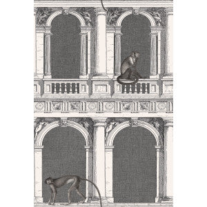 Cole & Son Wallpaper Procuratie E Scimmie B/W