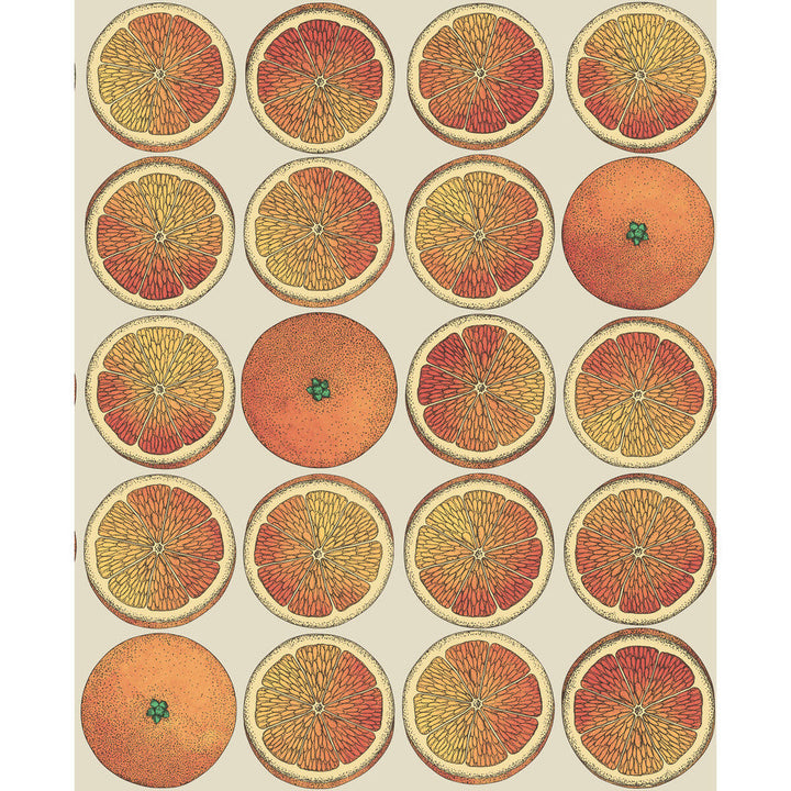 Arance Orange/Cream by Cole & Son Wallcovering Cole & Son Wallcovering Arance Orange/CreamWallcovering COLE & SON FORNASETTI SENZA TEMPO PAPER - 100% United Kingdom </p><p>Repeat: H: 20.5, V: 25.2 20.5 - Fabric Carolina -