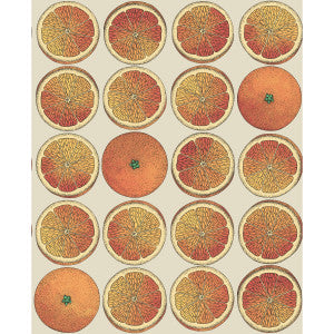 Cole & Son Wallpaper Arance Orange/Cream