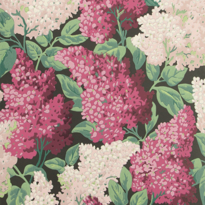 Lilac Magenta/Blush/Charco by Cole & Son Designer Wallcovering COLE & SON BOTANICAL BOTANICA PAPER - 100% United Kingdom Horizontal: 20.5 and Vertical: 25.2 20.5 - Swanky Fabrics -
