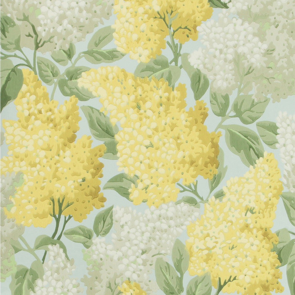 Lilac Lemon/Olive/Prm Blue by Cole & Son Wallcovering Cole & Son Wallcovering Lilac Lemon/Olive/Prm BlueWallcovering COLE & SON BOTANICAL BOTANICA PAPER - 100% United Kingdom </p><p>Repeat: H: 20.5, V: 25.2 20.5 - Fabric Carolina -