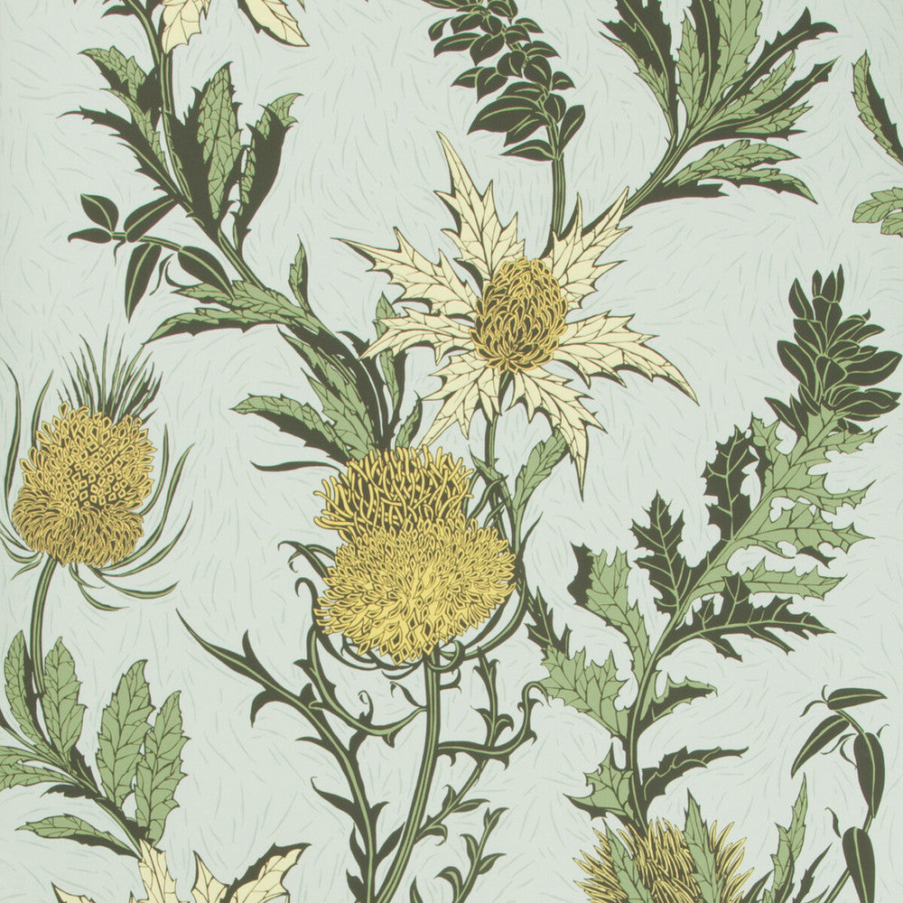 Thistle Lemon/Olive/D Egg by Cole & Son Wallcovering Cole & Son Wallcovering Thistle Lemon/Olive/D EggWallcovering COLE & SON BOTANICAL BOTANICA PAPER - 100% United Kingdom </p><p>Repeat: H: , V: 25.2 20.5 - Fabric Carolina -