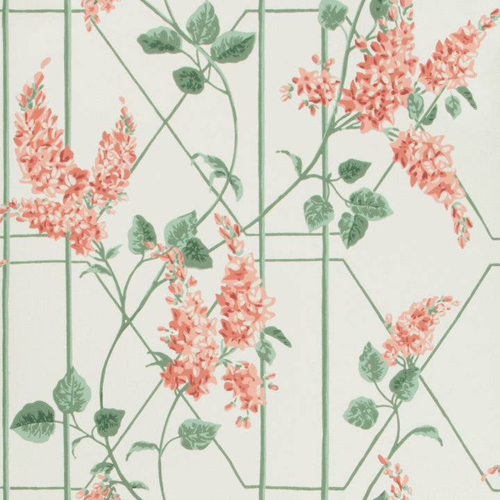 Wisteria Coral/Sage/Parch by Cole & Son Designer Wallcovering COLE & SON BOTANICAL BOTANICA PAPER - 100% United Kingdom Horizontal: 20.5 and Vertical: 20.5 20.5 - Swanky Fabrics -