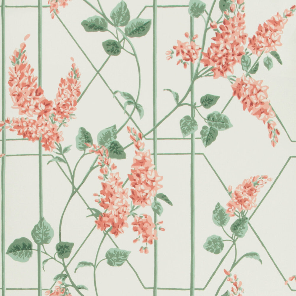 Wisteria Coral/Sage/Parch by Cole & Son Designer Wallcovering COLE & SON BOTANICAL BOTANICA PAPER - 100% United Kingdom Horizontal: 20.5 and Vertical: 20.5 20.5 - Swanky Fabrics -