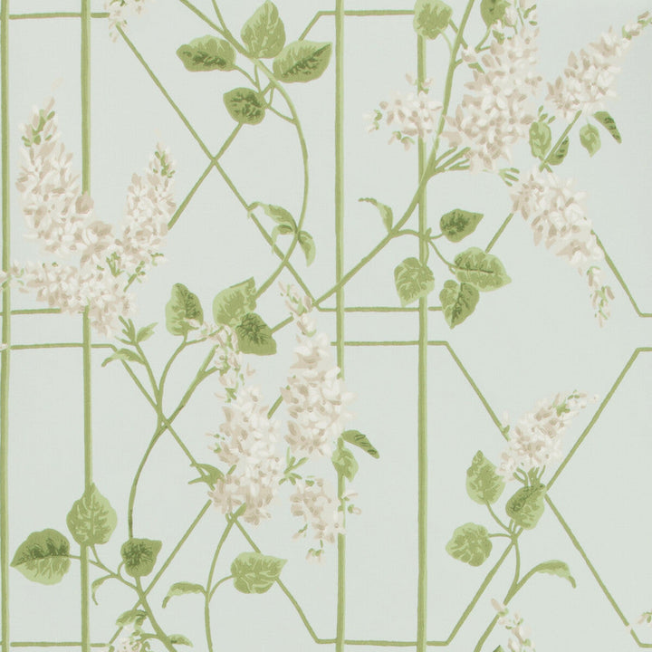 Wisteria Stone/Olive/D Egg by Cole & Son Designer Wallcovering COLE & SON BOTANICAL BOTANICA PAPER - 100% United Kingdom Horizontal: 20.5 and Vertical: 20.5 20.5 - Swanky Fabrics -