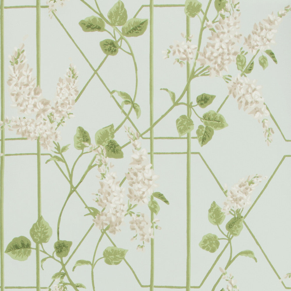 Wisteria Stone/Olive/D Egg by Cole & Son Wallcovering Cole & Son Wallcovering Wisteria Stone/Olive/D EggWallcovering COLE & SON BOTANICAL BOTANICA PAPER - 100% United Kingdom </p><p>Repeat: H: 20.5, V: 20.5 20.5 - Fabric Carolina -
